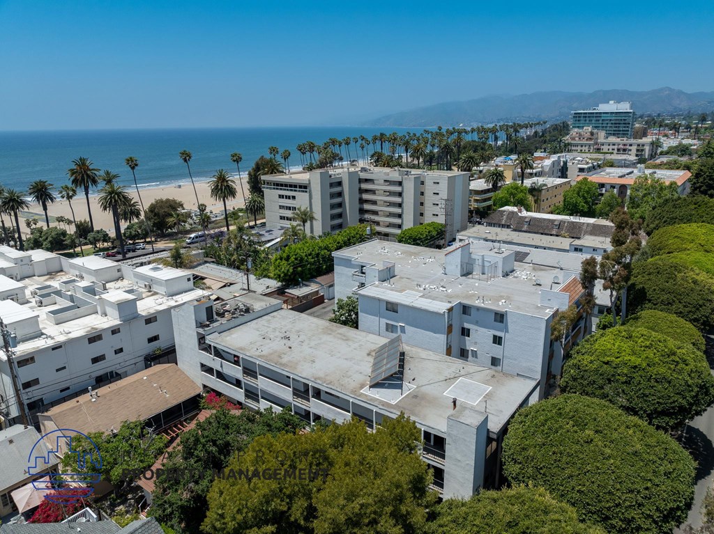 A beachfront view of a city with buildings and palm trees.
