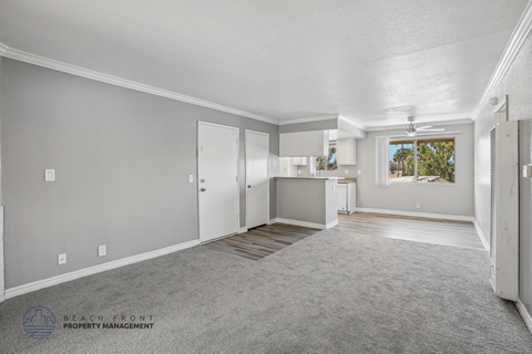 A spacious room with a carpeted floor and a window showing trees outside.