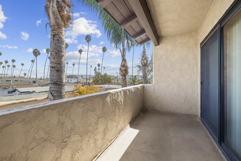 A balcony with a view of palm trees.