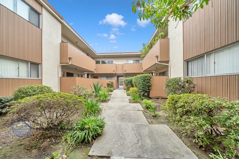 a walkway between two apartment buildings with bushes and plants