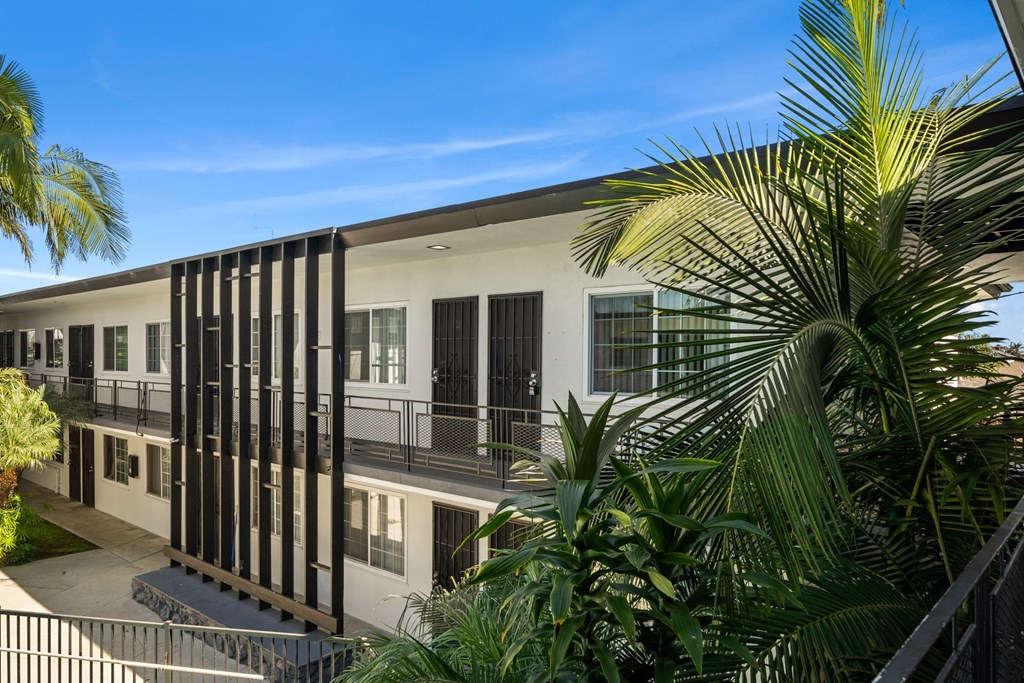 a building with a palm tree in front of it