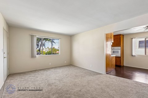 A spacious room with a carpeted floor and a window overlooking trees.