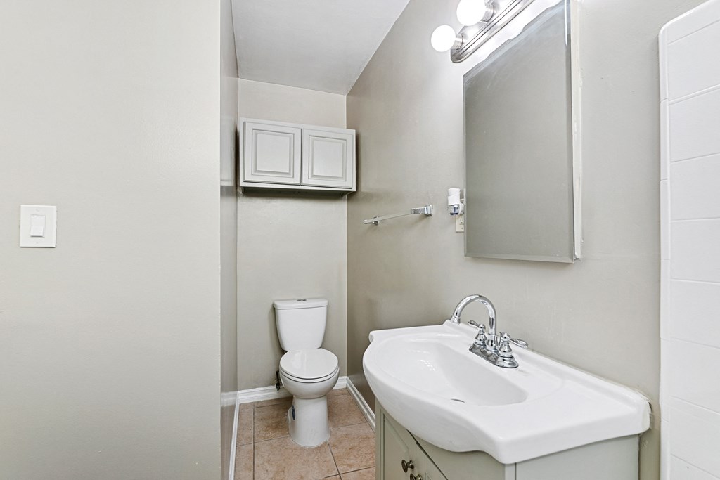 a bathroom with a sink and a toilet and a mirror