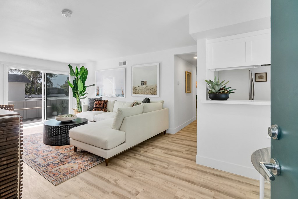 A white couch sits in a living room with a rug and a potted plant.
