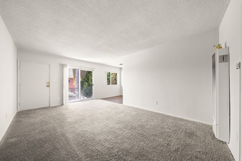 A spacious room with a grey carpet and white walls.