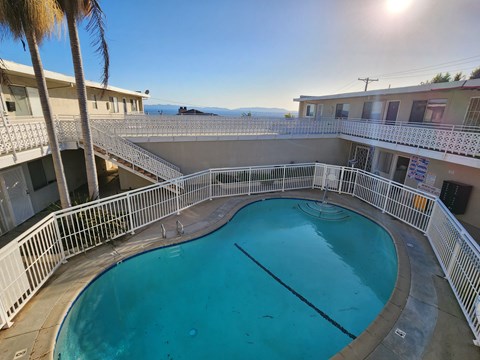A swimming pool surrounded by a white fence and palm trees.
