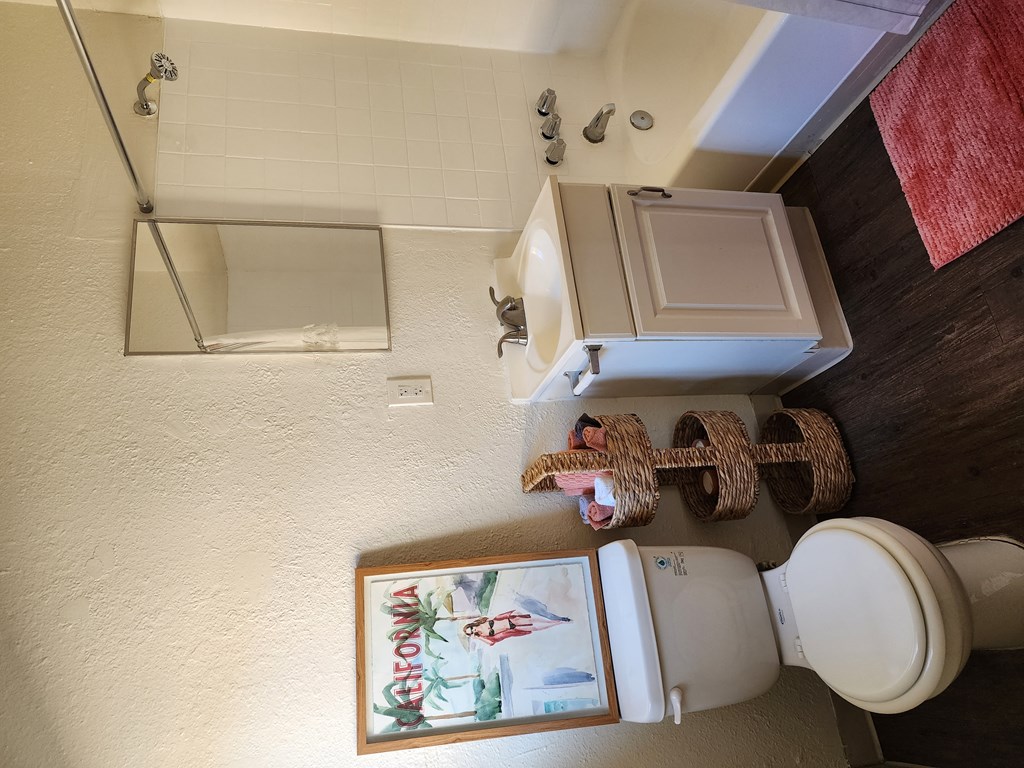 a bathroom with a toilet and a sink and a mirror