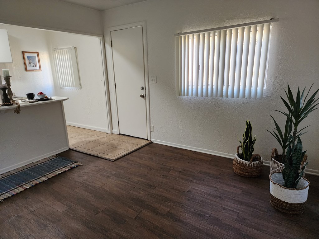 an empty living room with a sink and plants in the corner