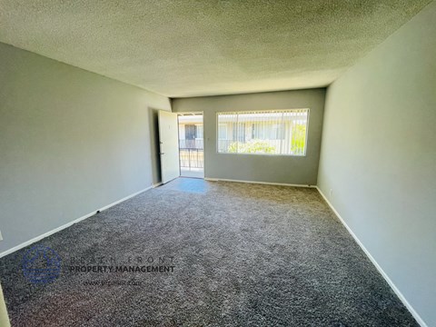 the living room of an apartment with carpet and a window