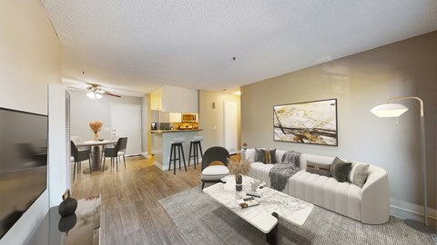 A living room with a white couch and a grey rug.