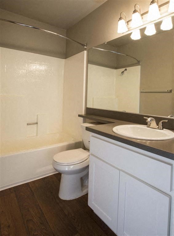 a bathroom with a toilet and a sink and a mirror