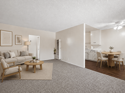A living room with a grey carpet and a grey sofa.