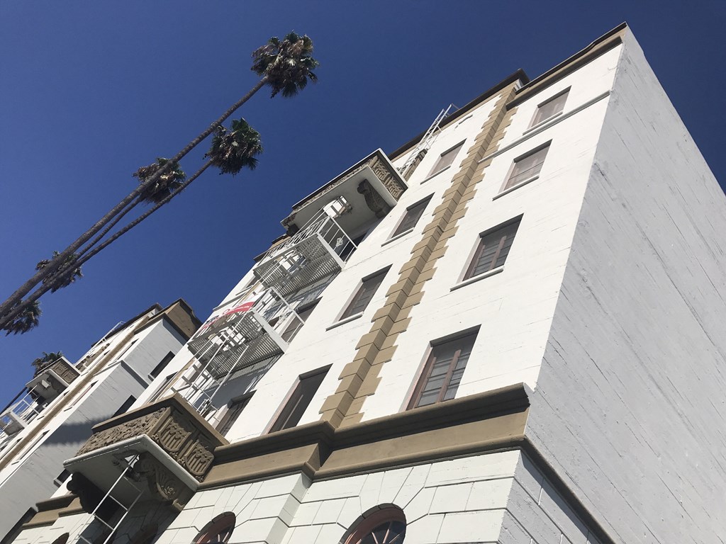 the side of a white building with a palm tree