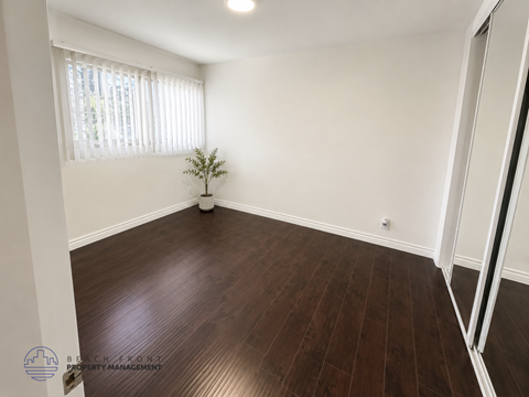A room with wooden flooring and a small tree in a white planter.