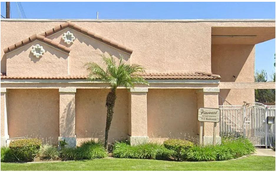 a building with a palm tree in front of it