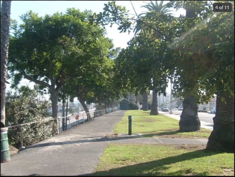 A tree-lined street with a sidewalk and a green pole.