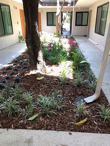Courtyard - Photo Gallery 3