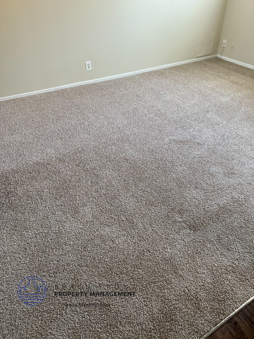 a carpeted room with a rug on the floor