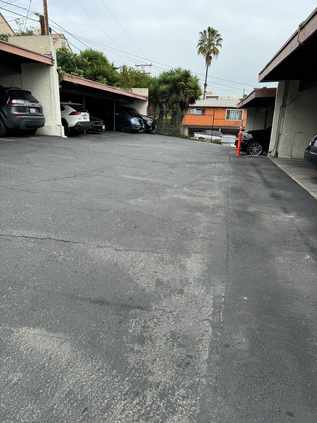 a driveway in front of a building with palm trees