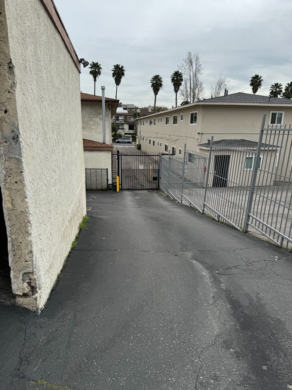 the driveway of a house with a gated yard and palm trees