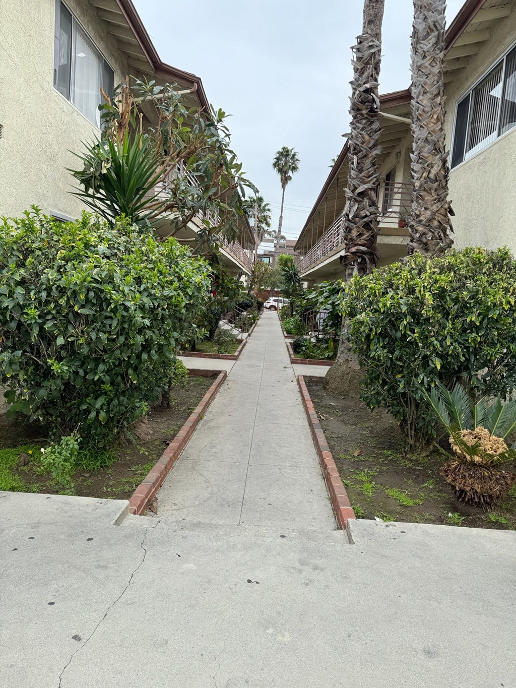 a sidewalk with trees and plants on the side of a building