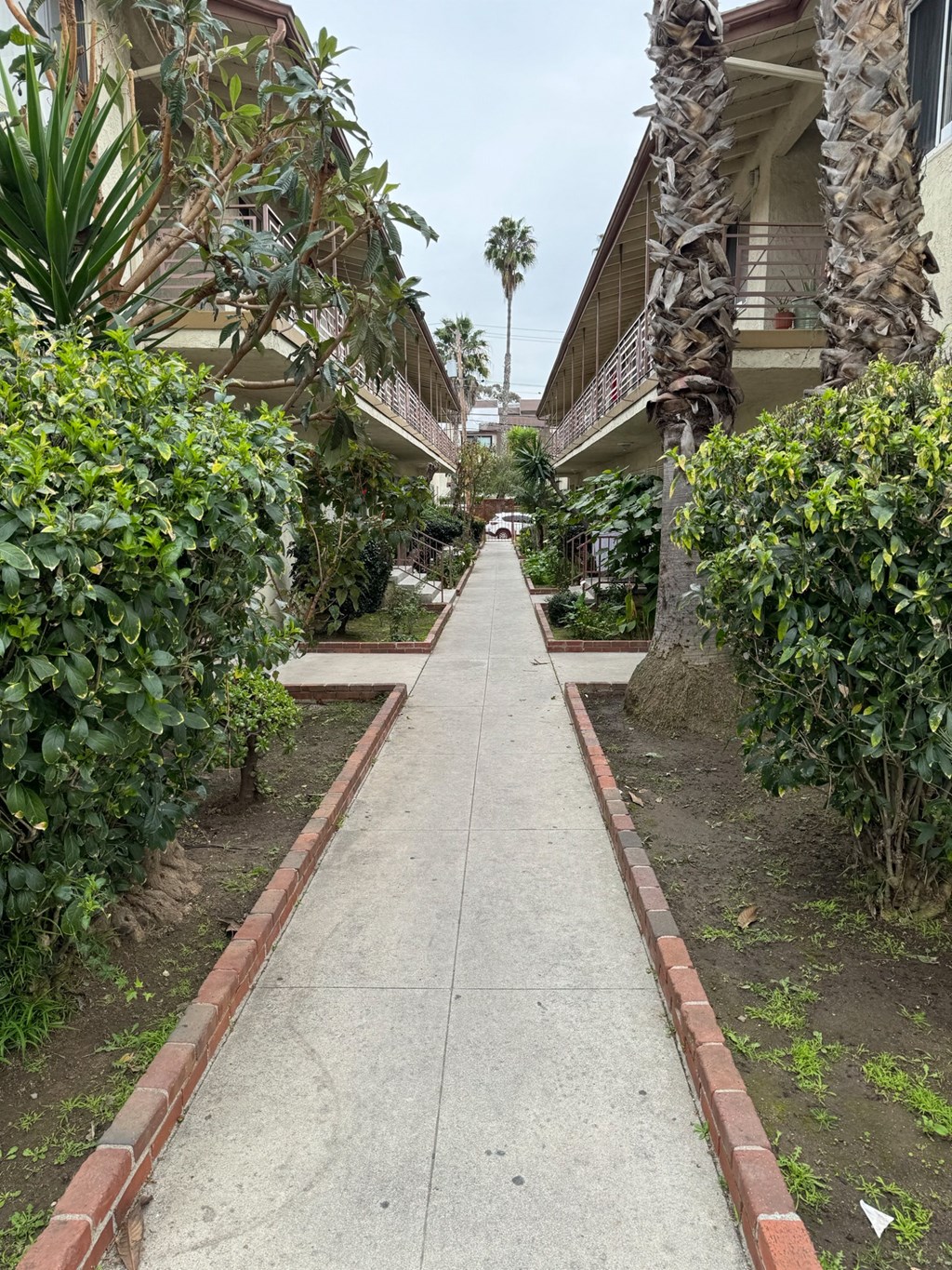 a sidewalk with trees and plants on both sides of it