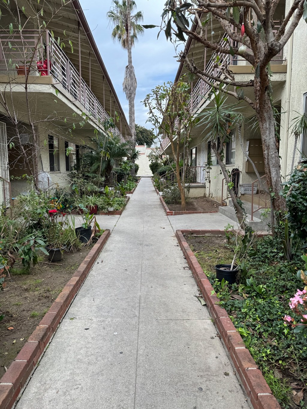 the walkway between the apartments is full of plants and trees
