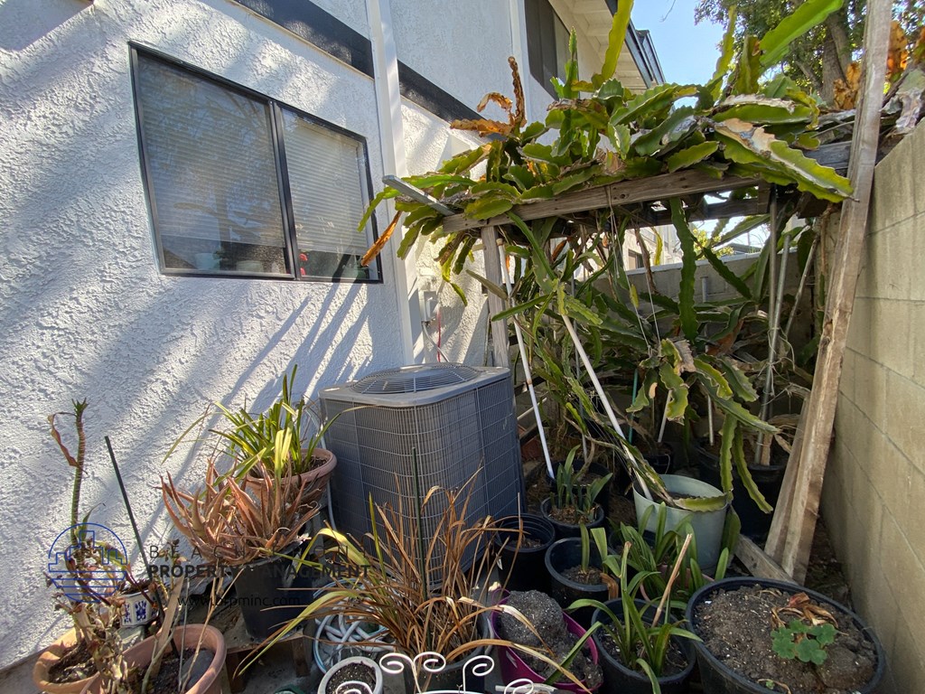 a group of potted plants in front of a house