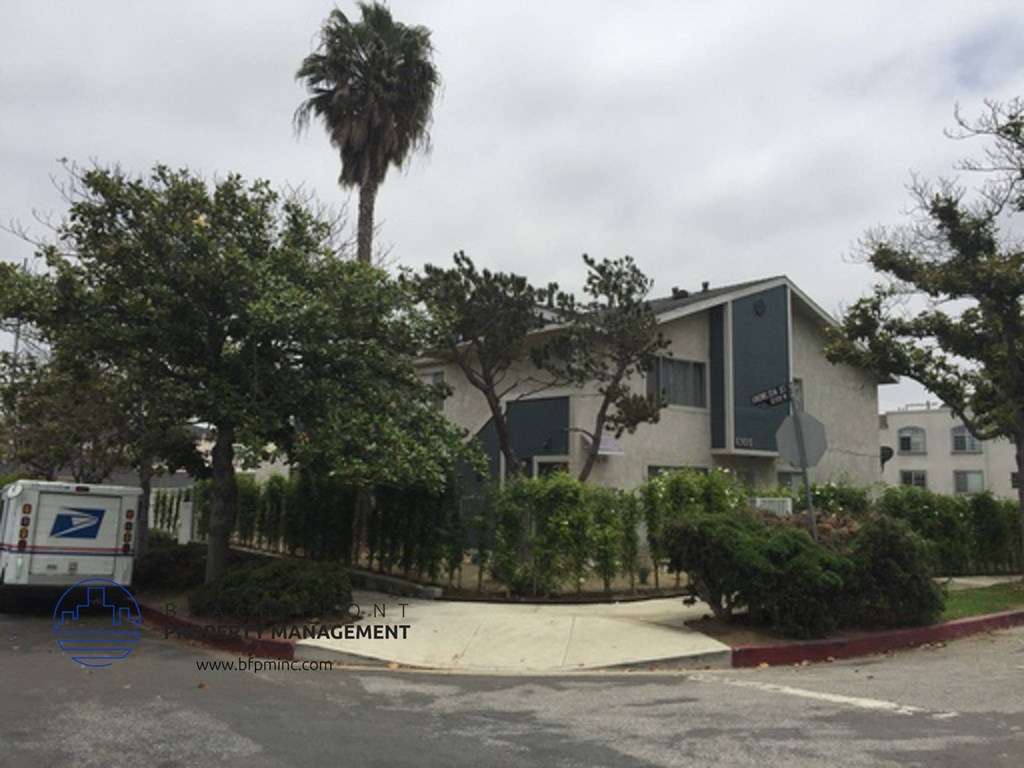 a building with a palm tree in front of it