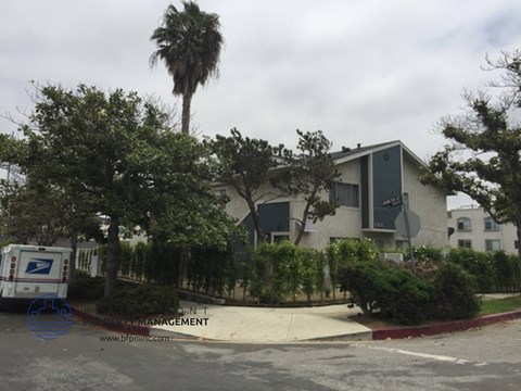 a building with a palm tree in front of it