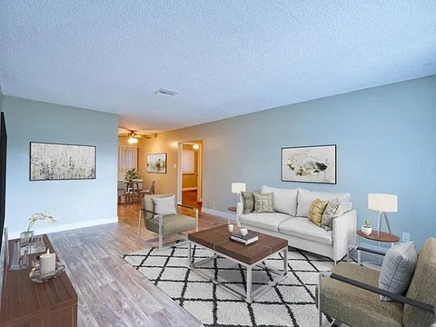 A living room with a white couch, a coffee table, and a rug.