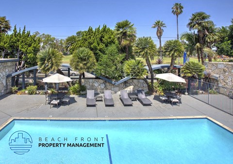 A pool surrounded by palm trees and lounge chairs with the words