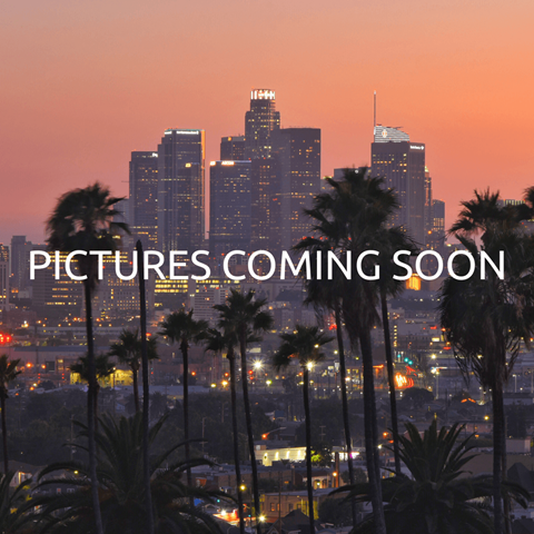 Palm trees in front of a city skyline at dusk.