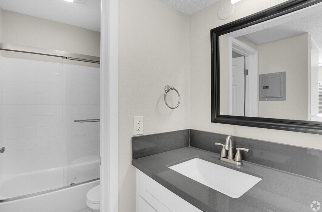 a bathroom with a sink and a mirror and a shower