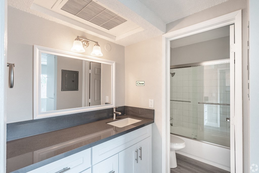 a bathroom with a sink and a mirror and a shower
