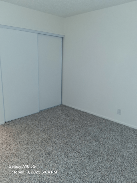 A room with a grey carpet and a white wall.