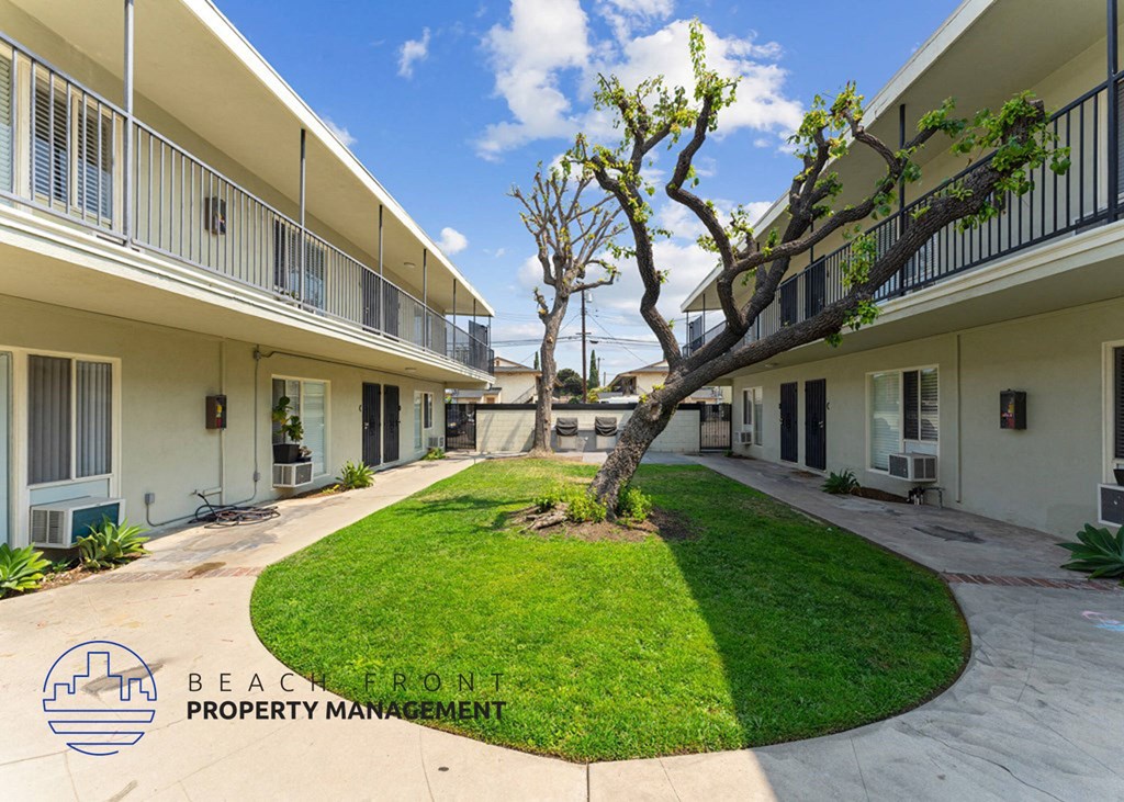 a courtyard between two buildings with a tree in the grass
