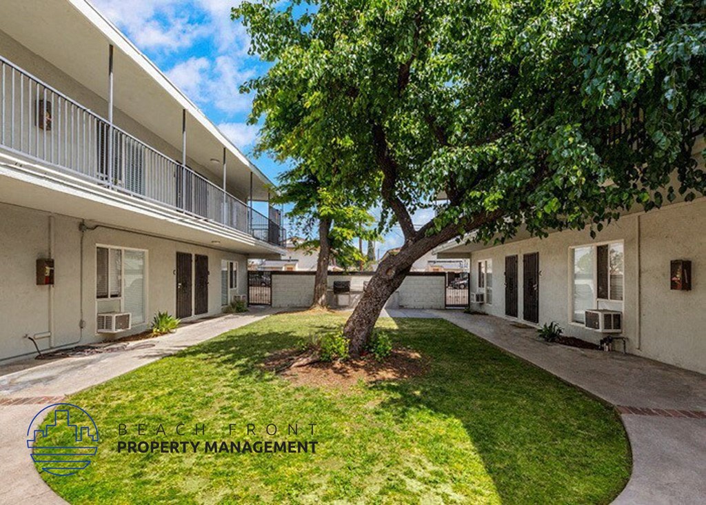 a tree in the middle of a yard between two buildings