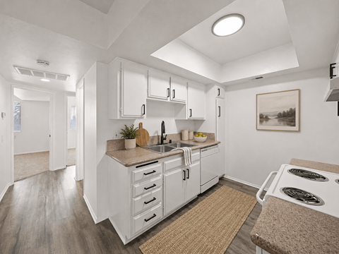 A kitchen with white cabinets and a brown rug.