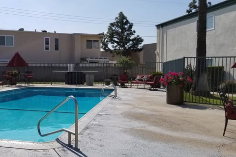 the pool at the apartments for rent