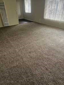 a room with a carpeted floor and a door