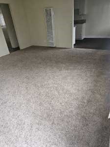 a carpeted floor in a room with an open door