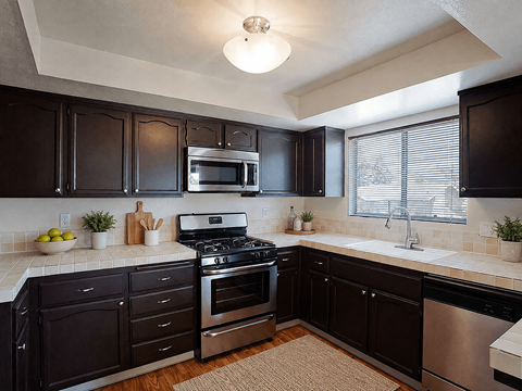 A kitchen with black cabinets and stainless steel appliances.