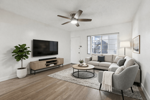 A living room with a grey couch, a television, a plant, and a fan.