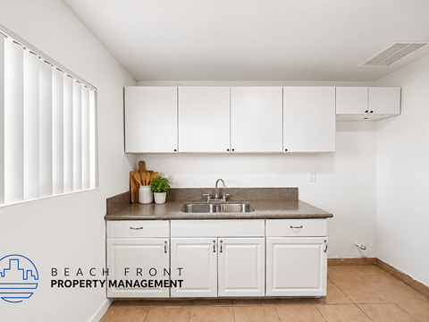 A kitchen with white cabinets and a countertop with a sink and a potted plant.
