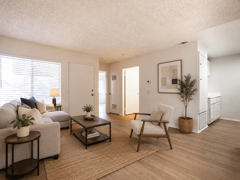 A living room with a grey couch, a wooden chair, a coffee table, and a small tree.