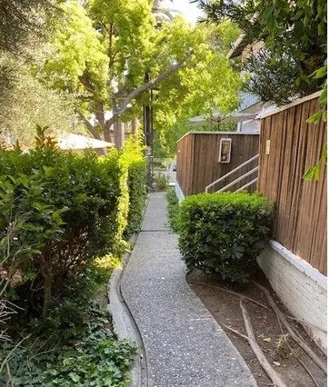 a narrow sidewalk next to a fence and bushes