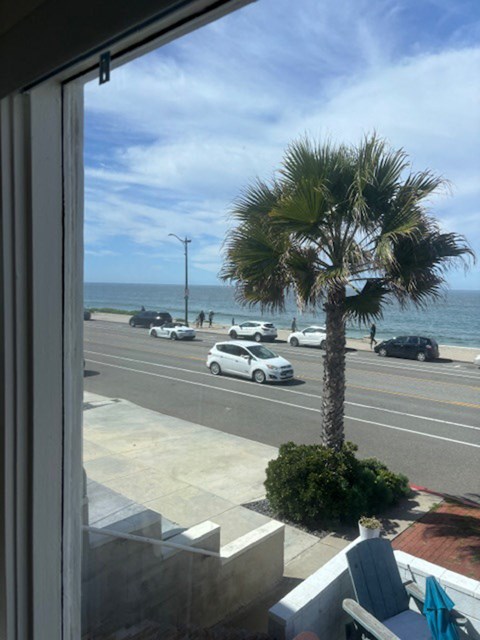 a view of the ocean from a hotel window with a palm tree