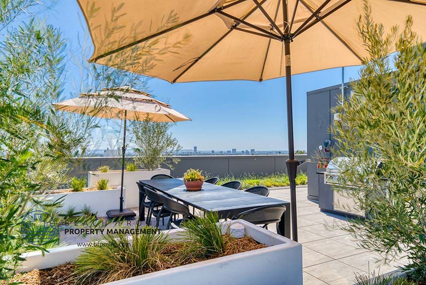 Premiere Hollywood Apartments, 6762 Hawthorn Ave., Los Angeles, CA RentCafe