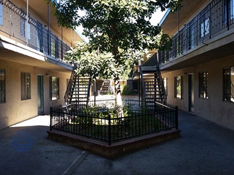 the tree in front of the building is surrounded by a wrought iron fence